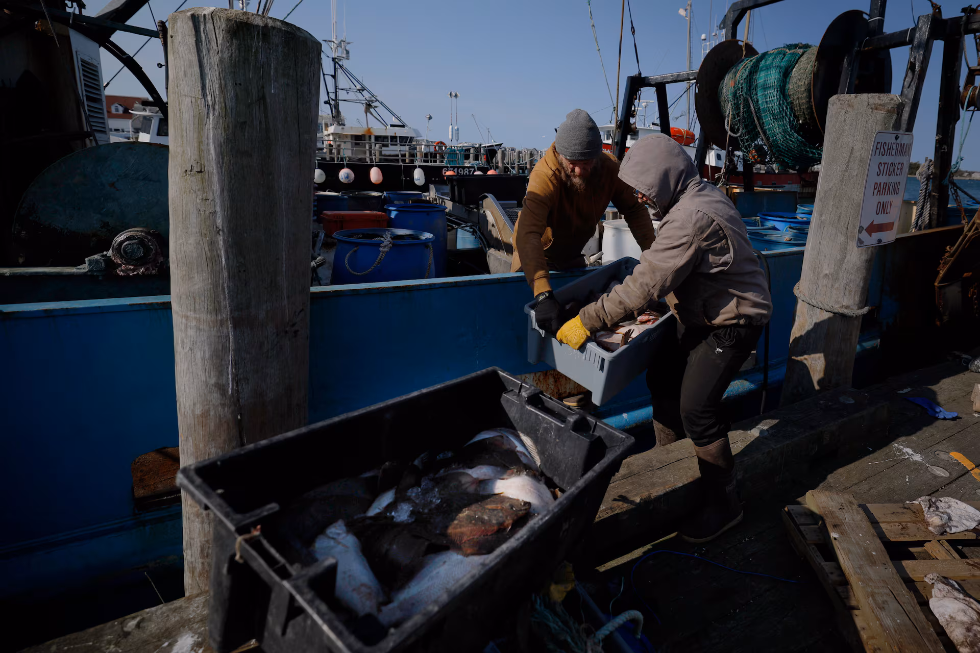 Trumps Fishing Disruption